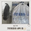 크린토피아 수거배달 앱으로 문 앞 편리하게 해결한 자취생 빨래 앱 후기