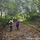 계남주유소 이미지