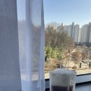 365마디척한의원 이미지