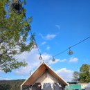 과일손질의달인 | 용인 가볼만한곳 애견동반 바베큐장 캠프쿡 후기