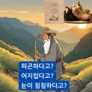 천마자연식품 이미지
