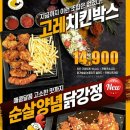 고레카레을지트윈