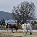 4월 10일(목) 어제 성남에서(야탑역, 고등동, 모란시장, 판교 등) 이미지