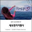 라라여행사