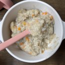 후기 체험 이유식 후기｜산골 이유식, 클레, 배냇밀, 루솔, 짱죽