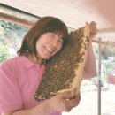 로얄양봉원