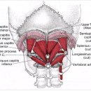 경희윤당한의원 이미지