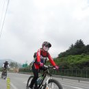 국토종주자전거길1-6 Daum카페
