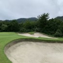 벙커구장 이미지
