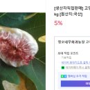 영오농장 이미지