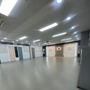 용인대 매화태권도 이미지