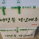 신씨네농가