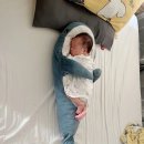 모든 - 세종특별자치시 산학리길 16-16 | 모든