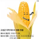 동부농협외곡지점 이미지