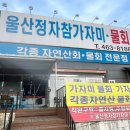 울산정자참가자미회타운 이미지