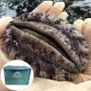 해신수산 이미지