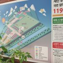 비발디캠핑파크 이미지