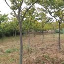 변산농장 이미지