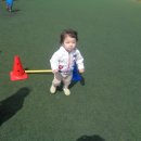 이호운동장 이미지