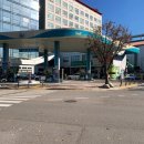 대일오토 이미지