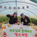 꼬마천사어린이집 이미지