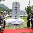 조양 태양광발전소 이미지