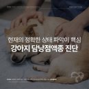 심동물병원 이미지