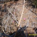 사2리경로회관 이미지