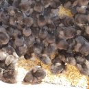 청계슈퍼 이미지