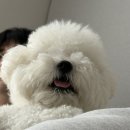 빅할인마트 | 잘 먹고 잘 노는 기록ଘ(´•3•)⊃━☆