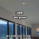 무룡로L 이미지