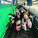 경희대수청태권도