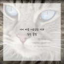 우리아이치과 이미지