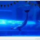 장생포고래박물관 이미지