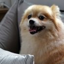 신동아세차장 네이버블로그