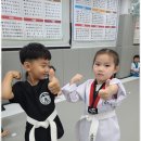 행복태권도 이미지