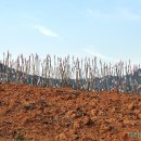 마리네 농장 이미지