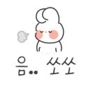 대성BNP 네이버블로그
