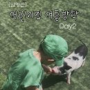천사몬테소리어린이집 | 어린이집 방학 2일차 담양 아이와 가볼 만한 곳 플레이펫 동물먹이주기 체험후기