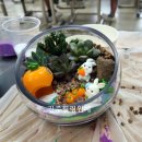 집현초등학교 이미지