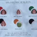카페 이끌다 이미지