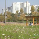 좋은날오후 이미지