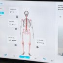 고양체형피부관리실