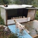 옹기종기 이미지