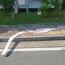 경북곡유리