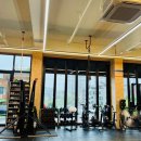 SP crossfit 네이버블로그