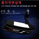 피지엠