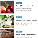 초이스케어 이미지