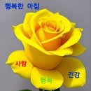힘내시게 이미지