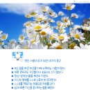 가로수북